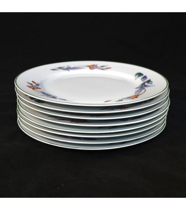 8 ASSIETTES PLATES PORCELAINE