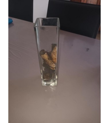 PETIT VASE DECO VERRE