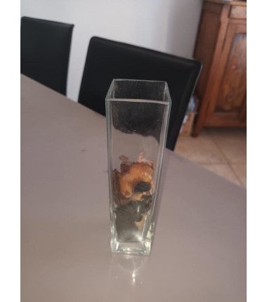 PETIT VASE DECO VERRE