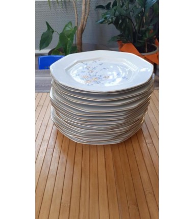 7 ASSIETTES PLATES PORCELAINE 24CM